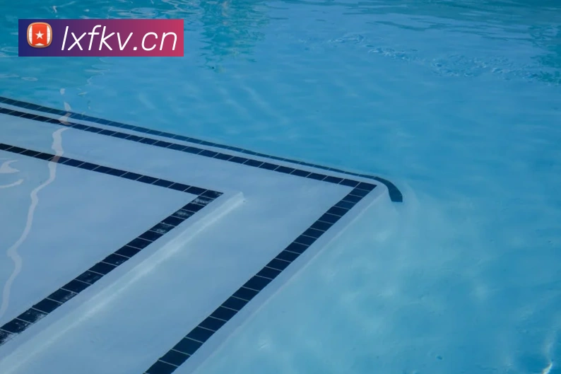 星空体育首页入口服务体系